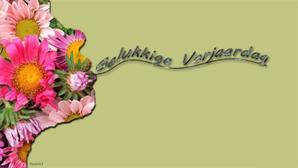 Paulette 1 project 43.1