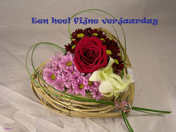 Paulette 1 project 43.2