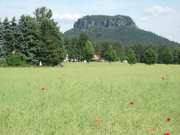 de Lillienstein