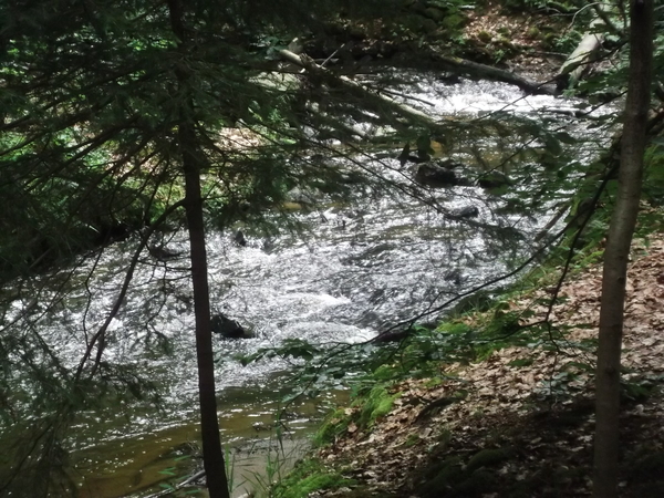 watervalletje in  de heide