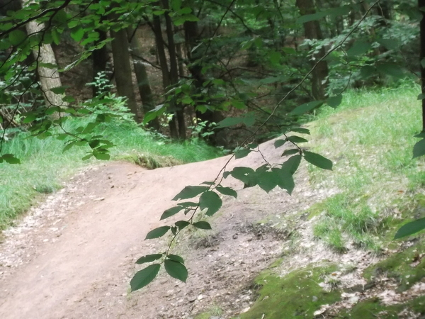 zulke wegen staan op de kaart maar er mogen geen auto's op
