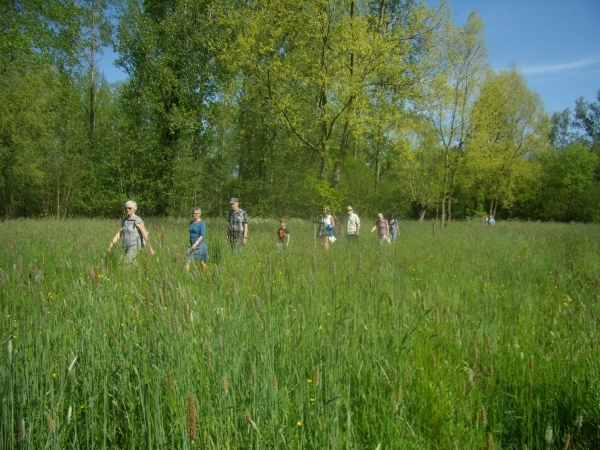 2016-05-07 MF wandeling (13)