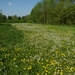 2016-05-07 MF wandeling (14)