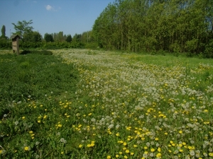 2016-05-07 MF wandeling (14)