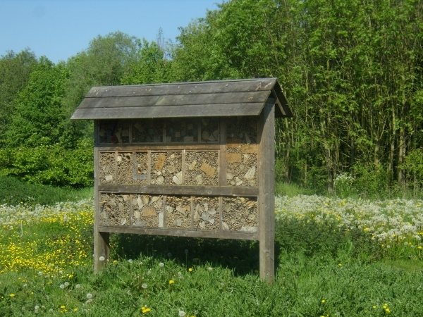 2016-05-07 MF wandeling (15)