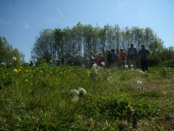 2016-05-07 MF wandeling (17)