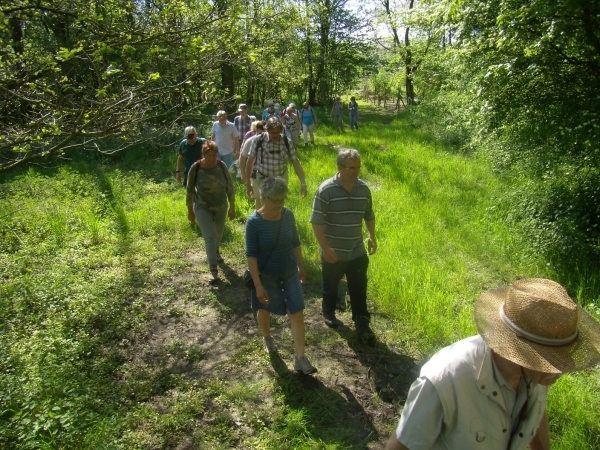 2016-05-07 MF wandeling (18)