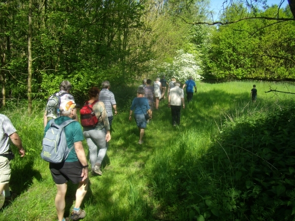 2016-05-07 MF wandeling (19)