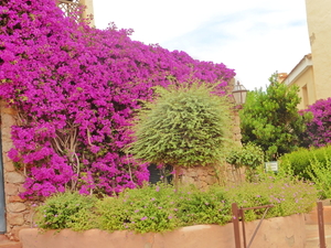 Sardinie (169)