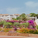 Sardinie (259)