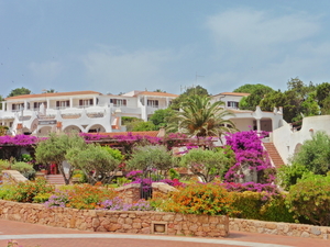Sardinie (259)