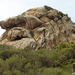 Sardinie (273)