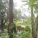 spanje 279