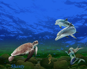 Shanty project 44.1