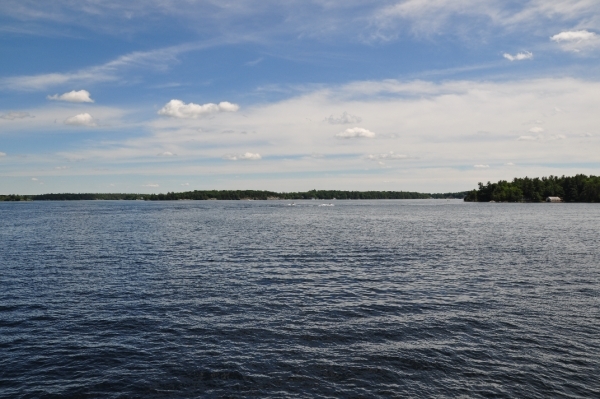 DSC_6236