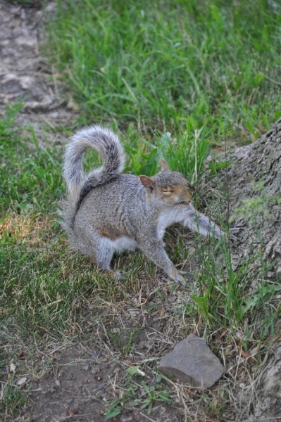 DSC_6471