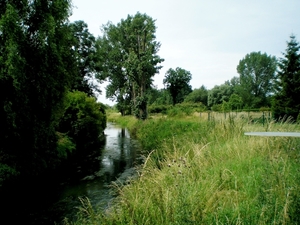 Jeker