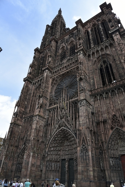 019-_DSC4705