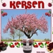 Kleine meme project 24.1