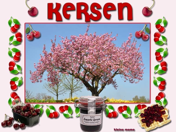 Kleine meme project 24.1