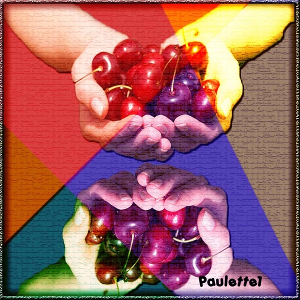 Paulette 1 project 45.1