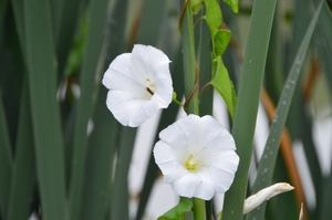 019