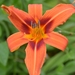 056
