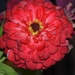053