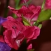 061