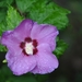 022