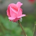 023