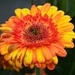 034
