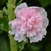 043