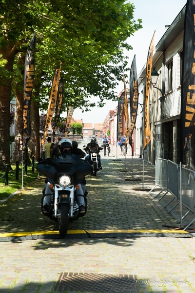 Harly (48 van 218)