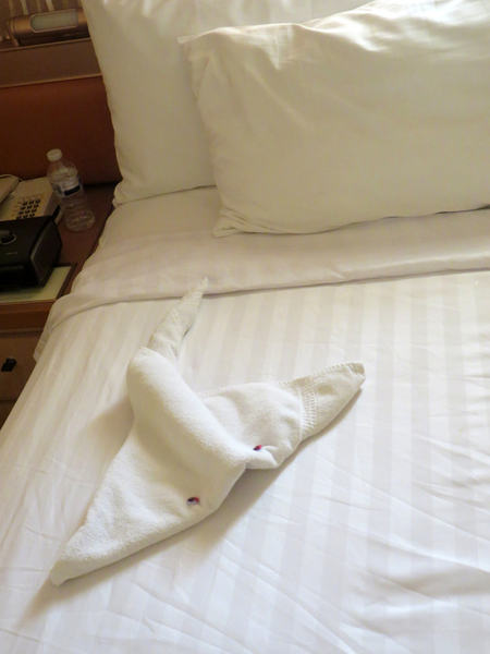 Opnieuw een beestje op bed