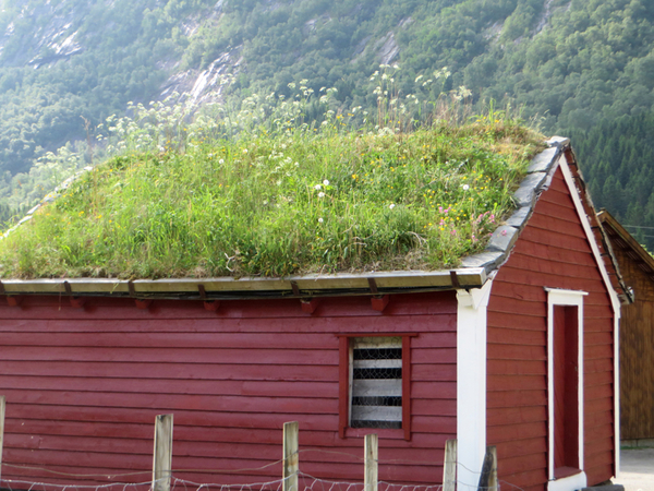 Dak met lentebloemekes