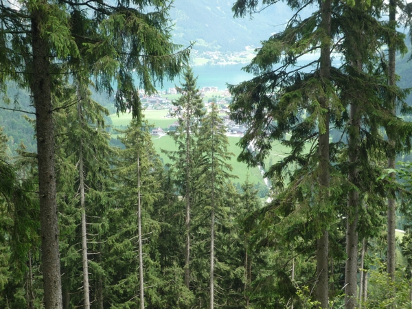 2C Gerntal wandeling, Feilalm _P1230329