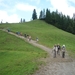 5B Barenkoph wandeling, Weissenbach alm _P1230367