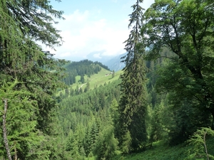 5B Barenkoph wandeling, Weissenbach alm _P1230370