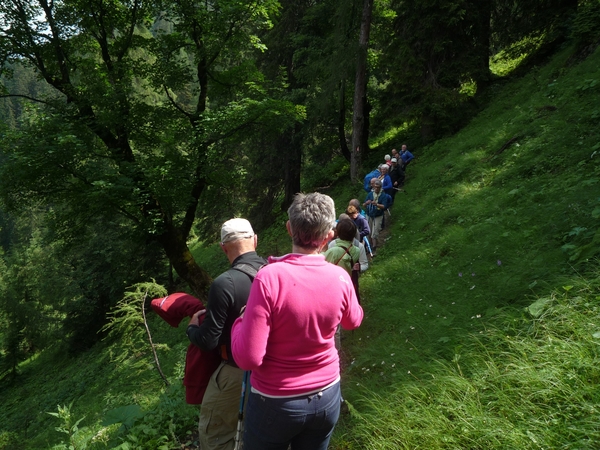 5B Barenkoph wandeling, Weissenbach alm _P1230371