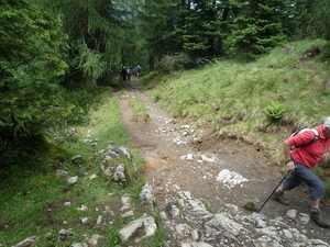 5B Barenkoph wandeling, Weissenbach alm _P1230372