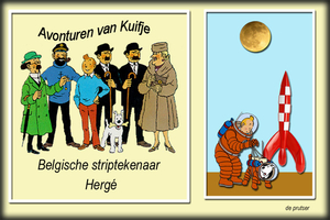 De prutser project 46.3