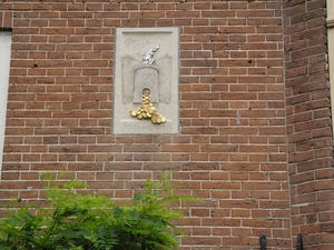 DSCN7872
