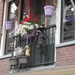 DSCN7882