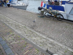 DSCN7902
