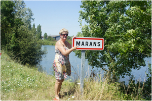 Marans