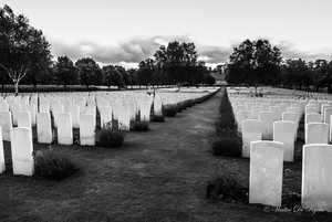 IEPER 2014 (110 van 215)