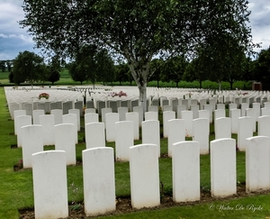 IEPER 2014 (112 van 215)