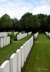 IEPER 2014 (113 van 215)