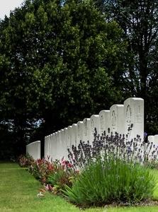 IEPER 2014 (114 van 215)